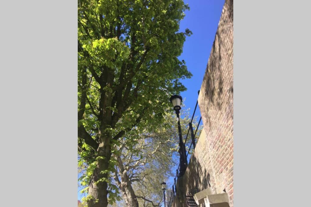 דירות אוטרכט Werfkelder Aan De Oudegracht מראה חיצוני תמונה